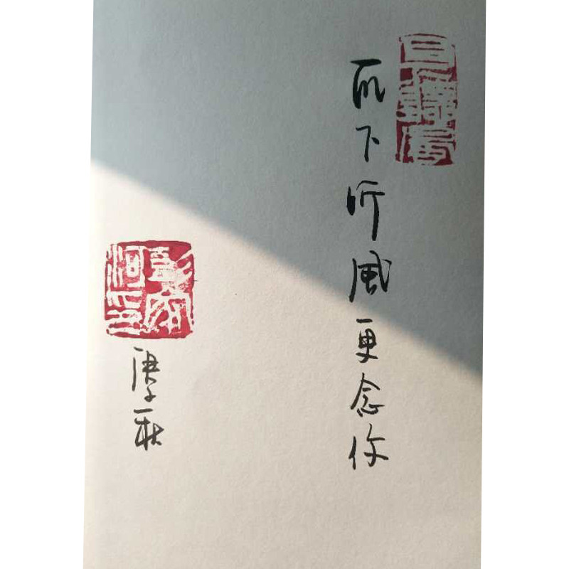 彭家河社广西师范大学出版题词本随机发新版中国当代原创文学瓦下听风