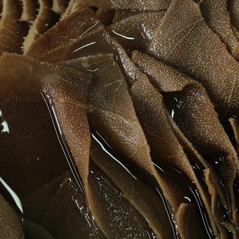 毛肚新鲜5斤装包邮牛百叶黑毛肚牛毛肚牛肚新鲜冷冻牛杂火锅食材