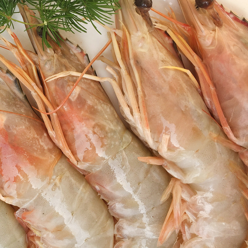 威海孙小乔海鲜野生大对虾大青虾大虾25只/公斤(1000g/168元)