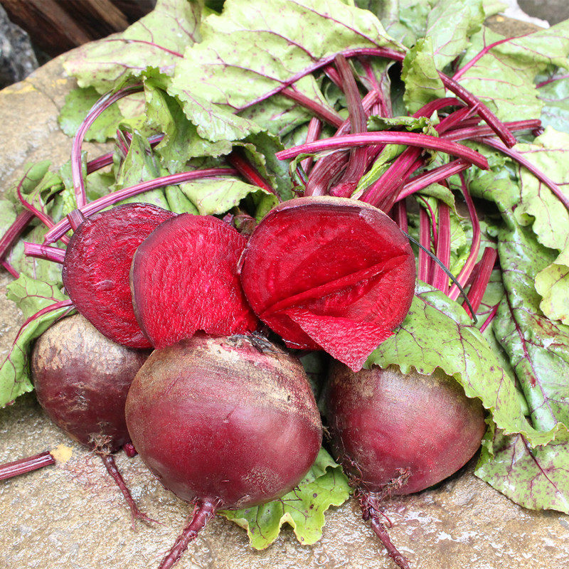 漫泉河新鲜甜菜根5斤装红菜头紫菜头蔬菜农产品多省包邮