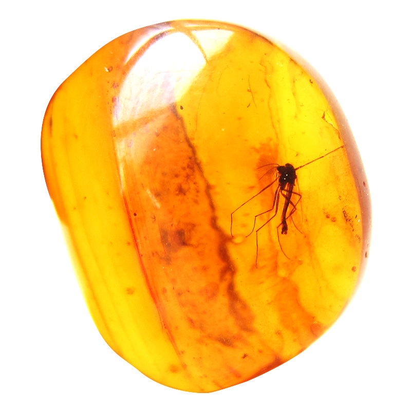 保真大自然博物馆波罗的海天然昆虫琥珀虫珀吊坠原石颈饰