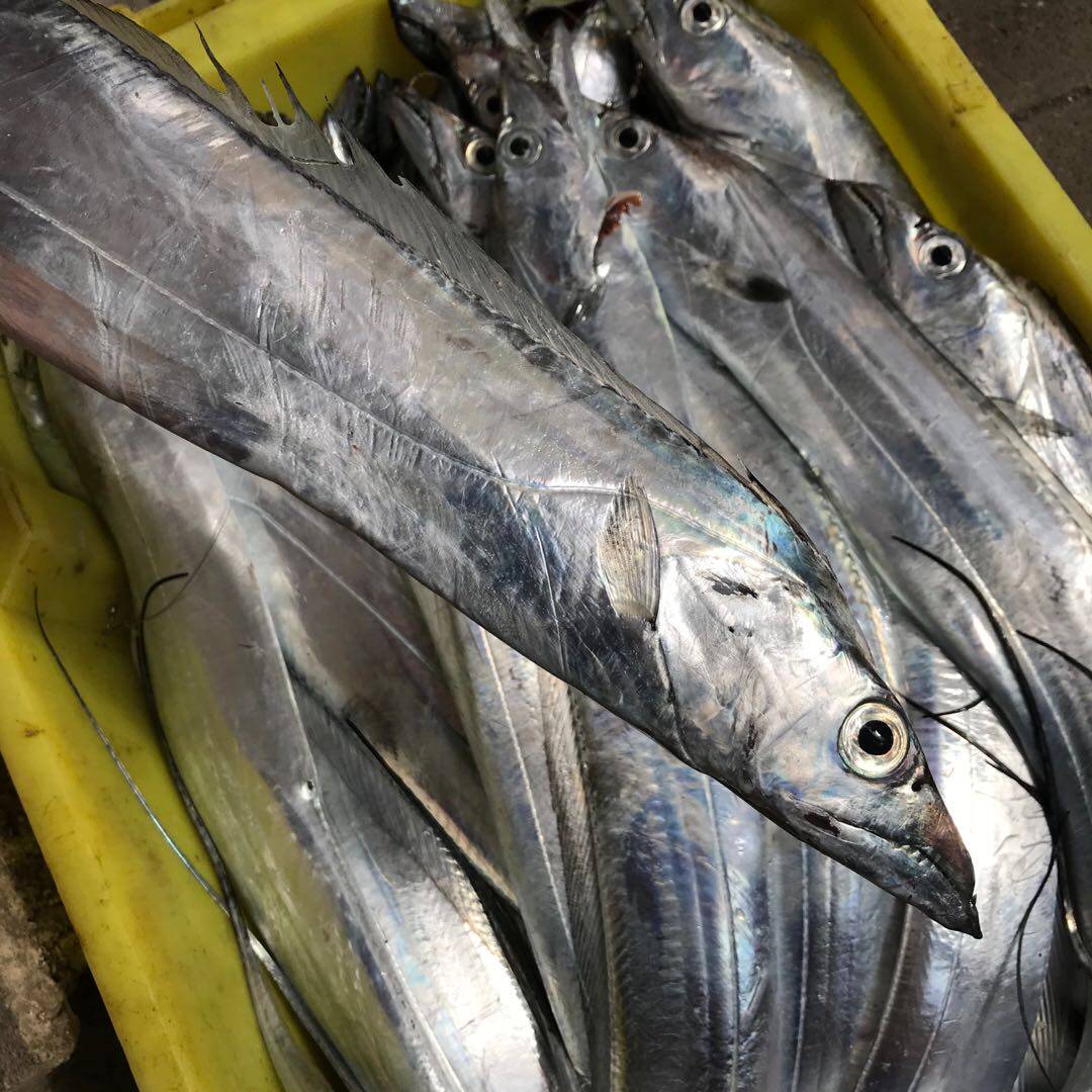 团购网潮海鲜舟山东海海钓新鲜带鱼4斤装顺丰带鱼