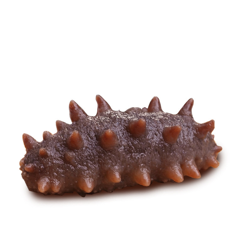 淡干小海参干货海渗大连海参海渗干货海深海参辽参刺参小海叁