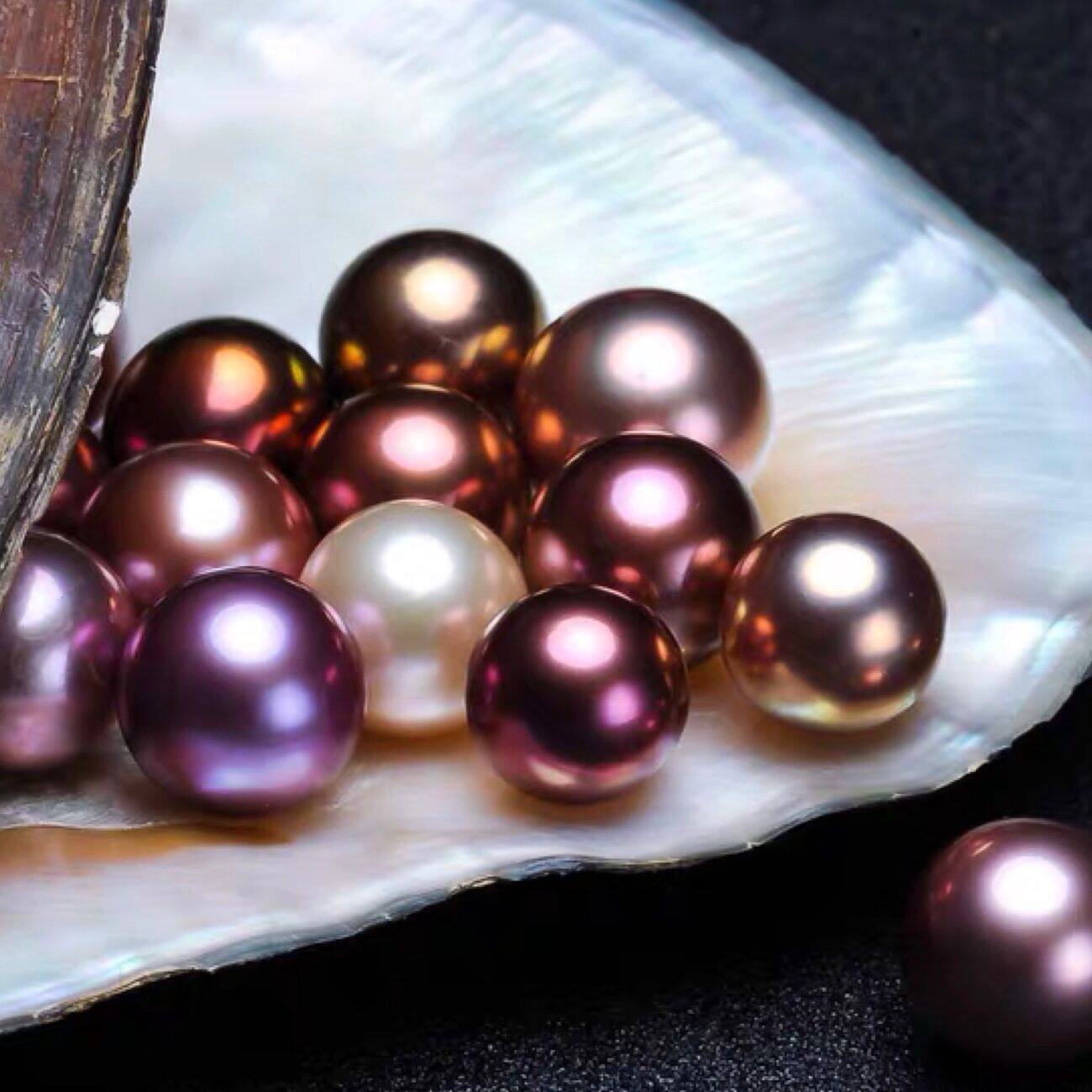 仙境爱迪生珍珠蚌 单珠一蚌一珠 直播开蚌取珍珠 爱迪生淡水珍珠