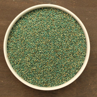 美洲杂交狼尾草种子 抗倒伏 耐旱 无病害 产量高 生长快 优质牧草