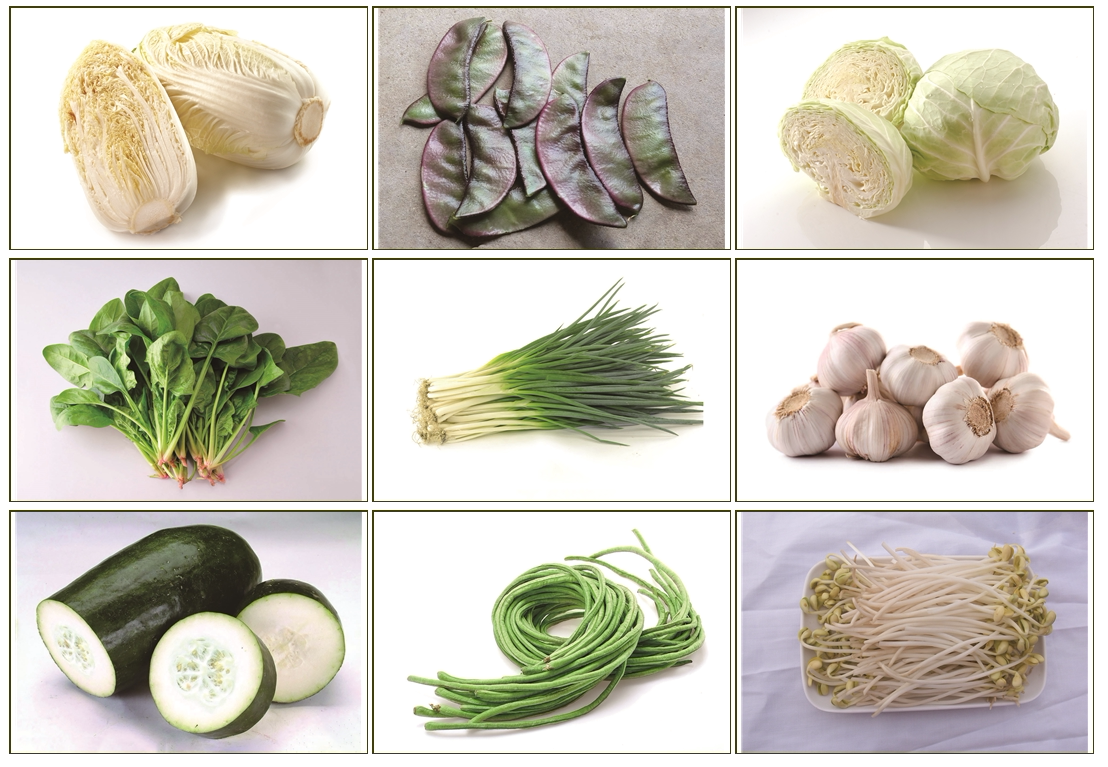 卡片蔬菜认知教学自闭症唐氏发育迟缓儿童aba早教闪卡