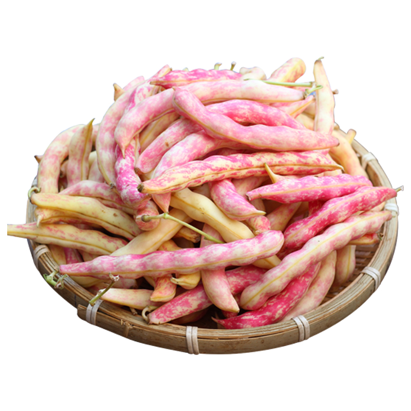 豆角东北黄金特产勾勾黄豆角新鲜芸豆黑龙蔬菜其它