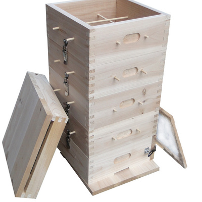 格子箱中蜂方格子蜜蜂格子箱中蜂土养箱中蜂格子箱