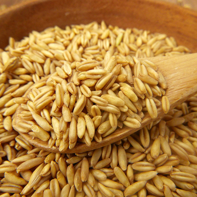 5斤农家自种新货 燕麦米 雀麦 燕麦粒 燕麦仁 燕麦颗粒包邮