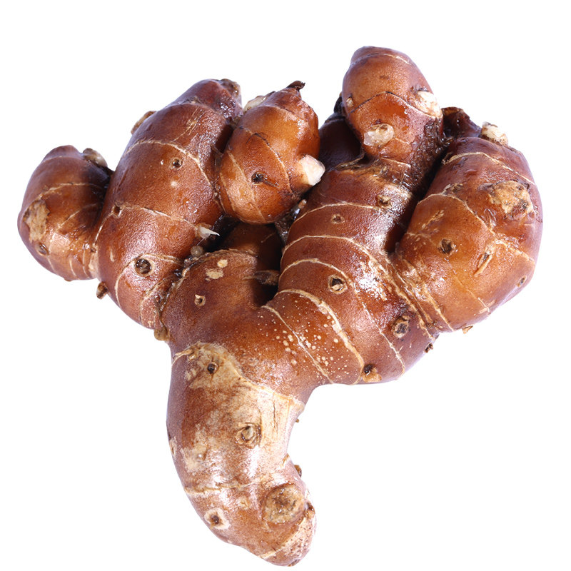 沙姜新鲜现挖广东东茂名特产山奈白切鸡椰子子鸡生姜