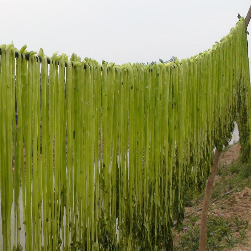 干菜农家蔬菜脱水菜苔云南苔干菜类义门春季其它干货