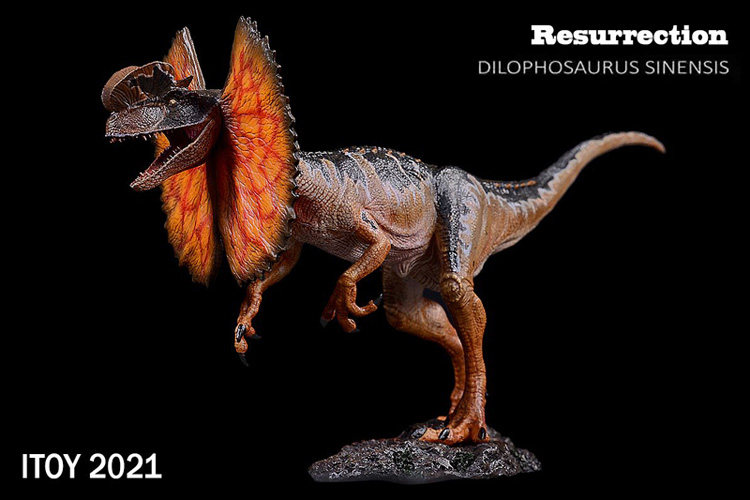 现货包邮itoy折伞双脊侏罗纪恐龙双冠龙博博物馆仿真