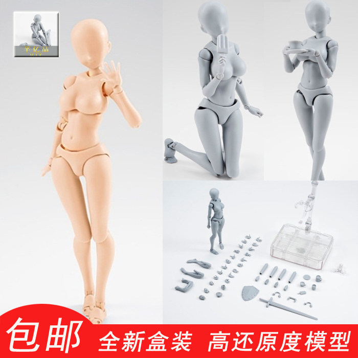 模型素体人偶可动美术人体素描描绘画画布衣手办