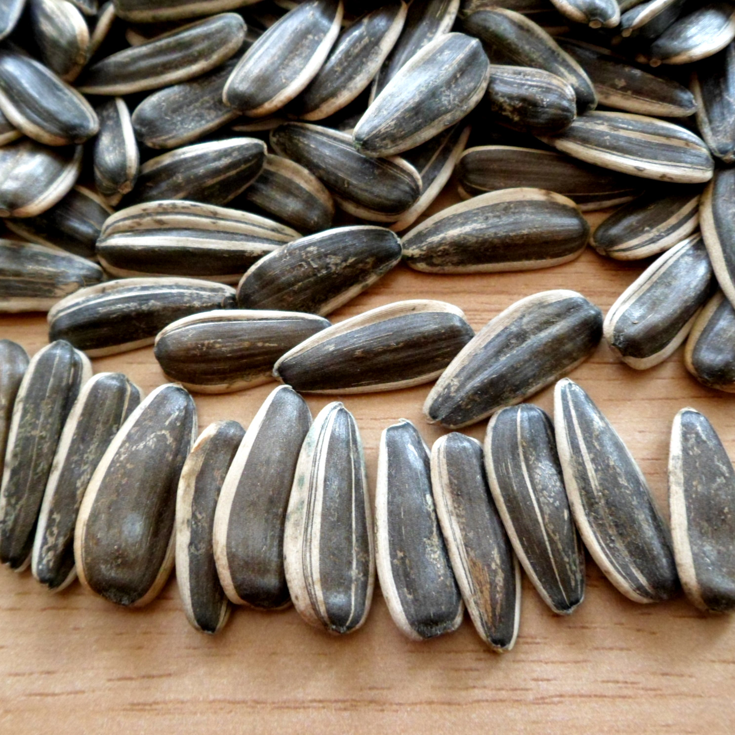 内蒙古瓜子颗粒葵花籽新货散装葵花花子5斤装瓜子