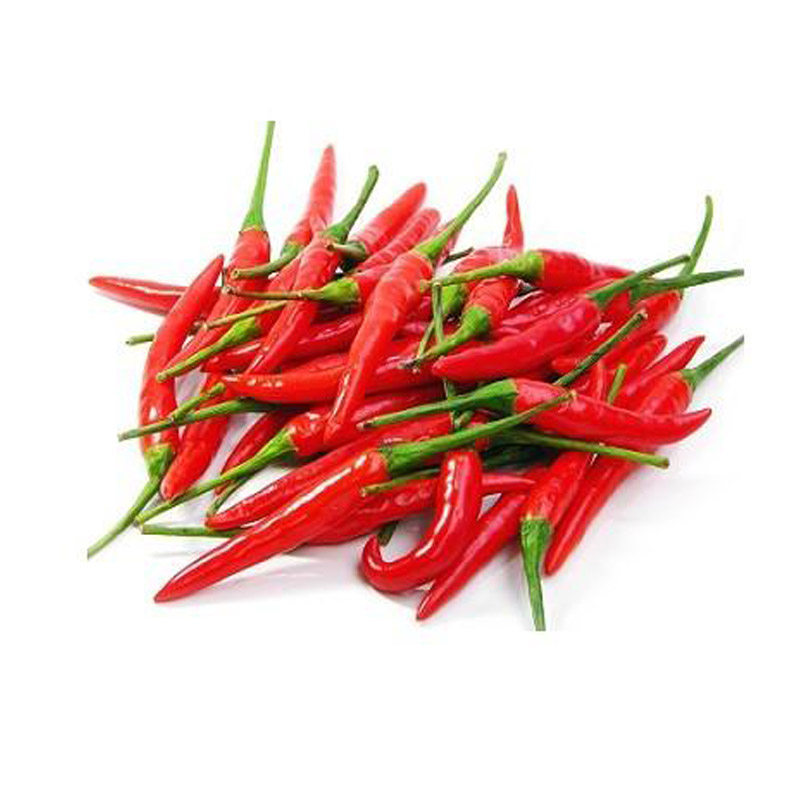 小米米辣椒500g新鲜蔬菜红辣椒特辣四川朝天椒小辣椒