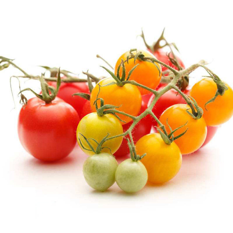 壹香红黄小番茄450g新鲜圣女果彩色小西西红柿樱桃番茄