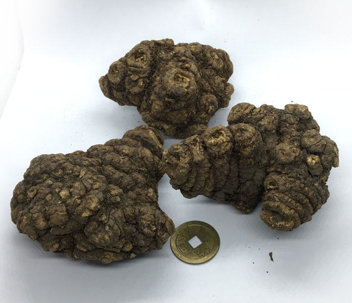 中药材 整个川芎四川 川穹 川芎(单个就有50g)500克 包邮