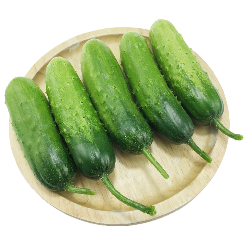 露天小七寸黄瓜4斤多省包邮秋黄瓜旱黄瓜沙拉菜新鲜蔬菜农家种植