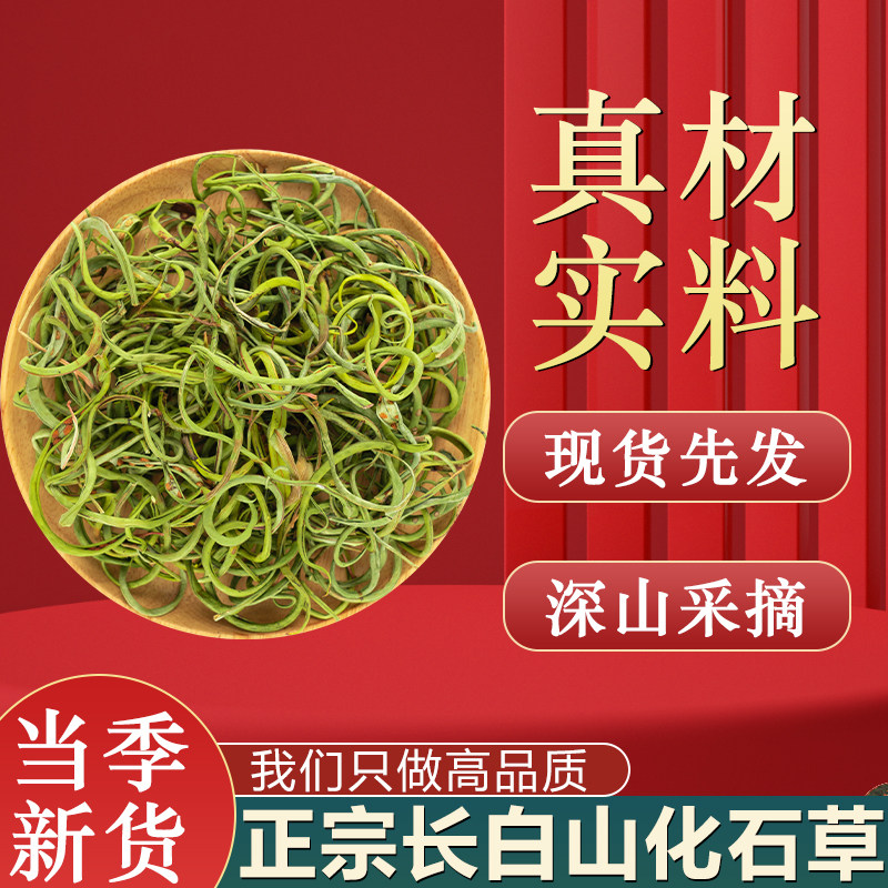 肾精长白山野生小叶化石草石苇茶东北石韦草男性养生茶