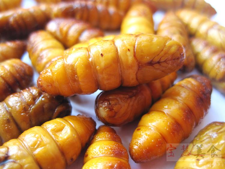 包邮食用新蚕蛹特级新鲜鲜嫩蝉蛹大蚕蛹桑蚕蛹金丝蛹500g