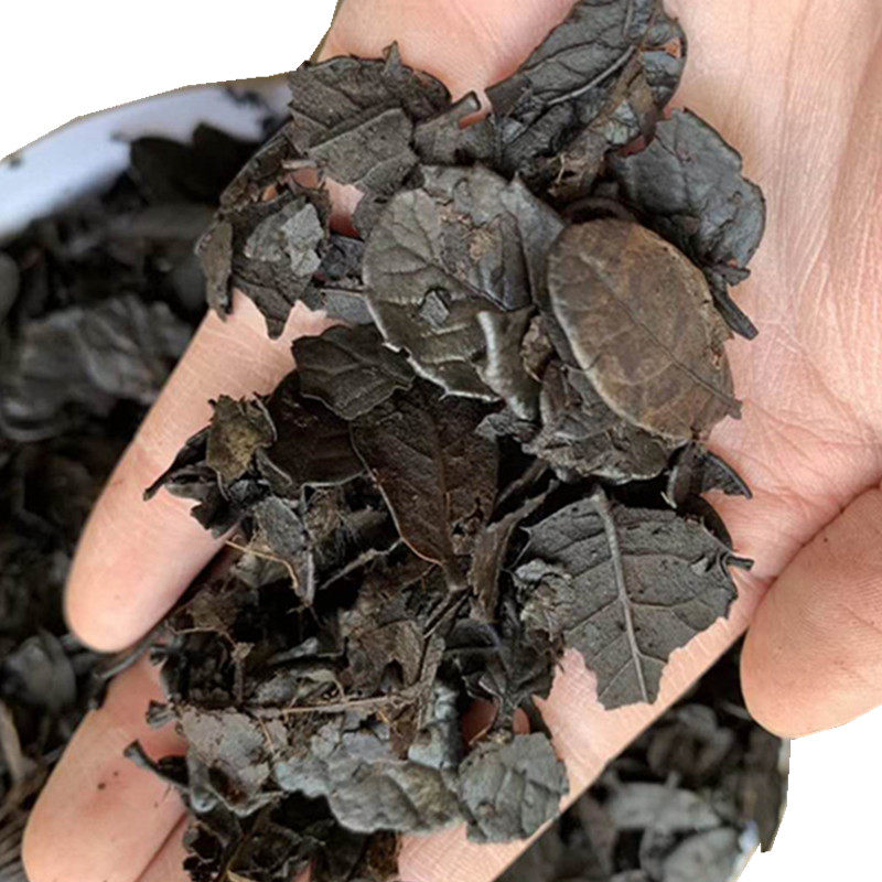 植料保山配料根芽25升7公斤刺栗叶落地腐熟兰科介质