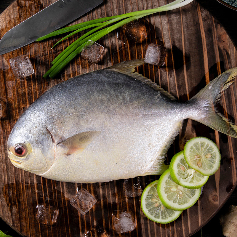 鲳鱼野生海整箱深海海5斤鲜活冷冻新鲜水产扁鱼鲳鱼