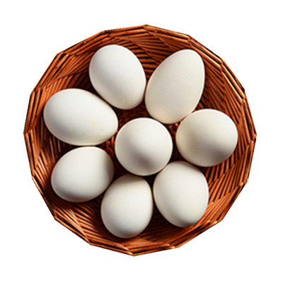 超大180克1枚6枚包邮灰天鹅蛋农家散养新鲜鹅蛋