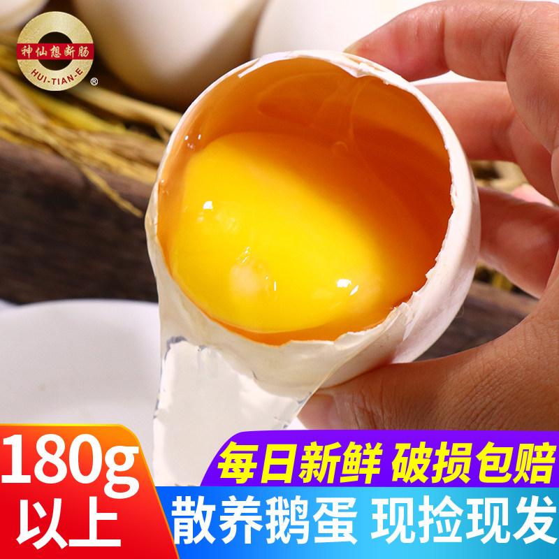 双黄特大超大200克1枚12枚 包邮 五谷灰天鹅蛋农家散养新鲜天鹅食品