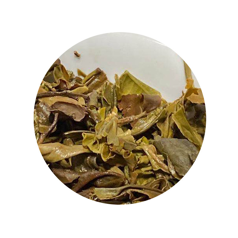 龙芮茶业2019年勐海孔雀357g普洱茶生茶高山乔木普洱