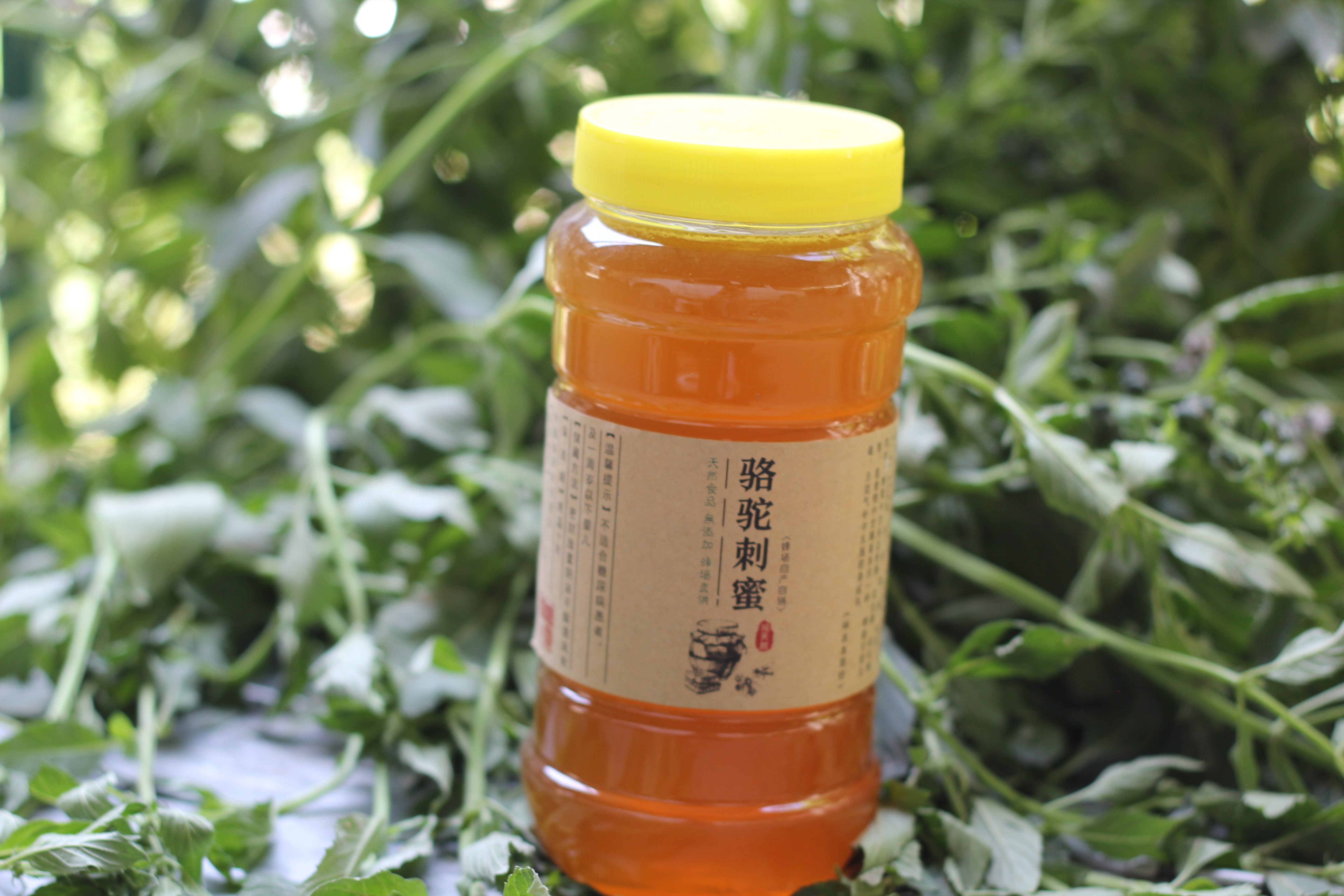 🐝晓之理沙漠产野生骆驼刺花蜂蜜 结晶蜜纯正高度数 1瓶2斤装包邮 9