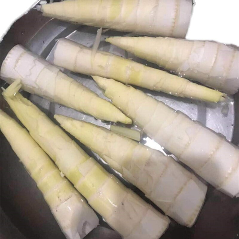 现挖新鲜临安竹笋自然野生春笋油焖小雷农家竹笋