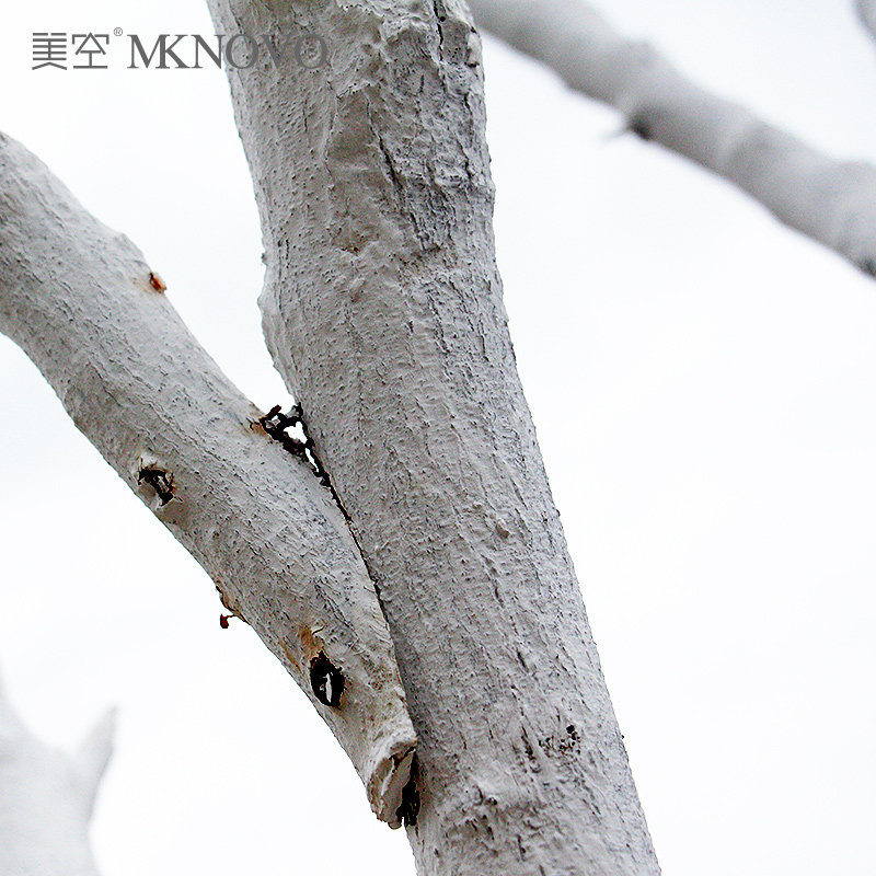 美空干树枝装饰干枝白色真假枯枝树干客厅商场摆件原木上色造型树