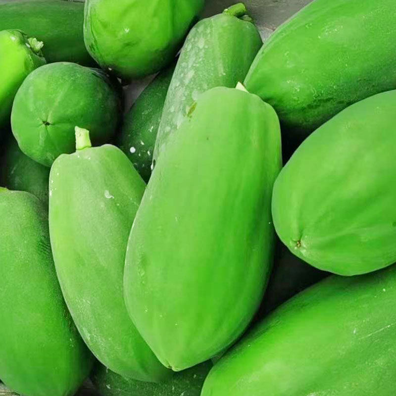 广西青木瓜8斤孕妇下奶新鲜蔬菜木瓜凉拌腌酸生木瓜整箱批发包邮