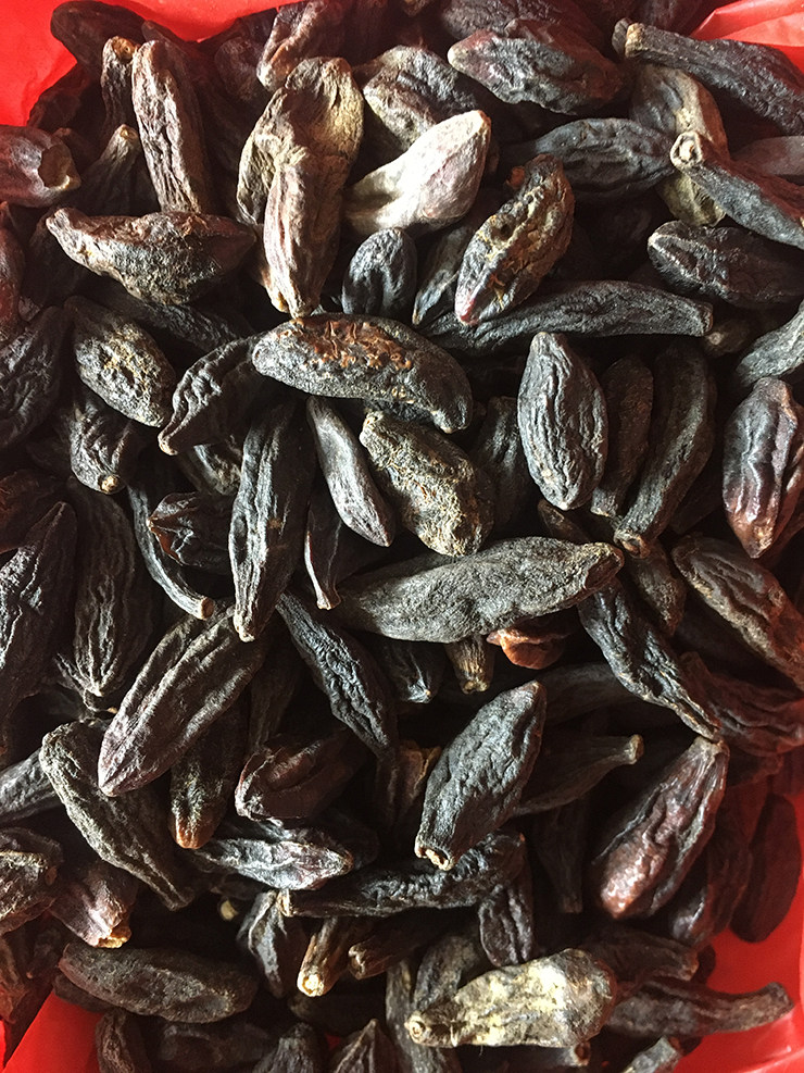 野生一品堂玉林市中国大陆中药材青果果子一斤500克传统滋补品其他