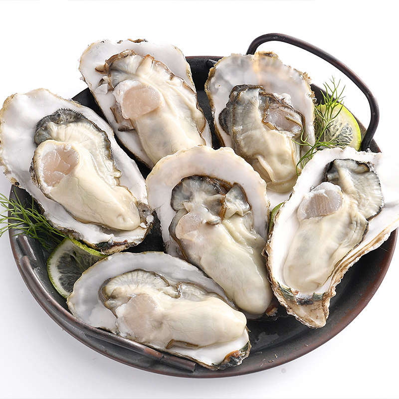 乳山生蚝三倍鲜活5斤海鲜水产海贝壳新鲜牡蛎生蚝