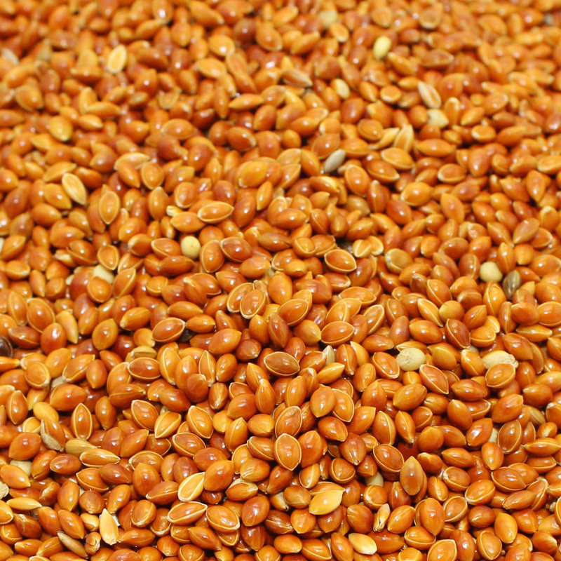 优质鹦鹉红黍牡丹玄凤虎皮鸟粮鸟食饲料5斤鸟食