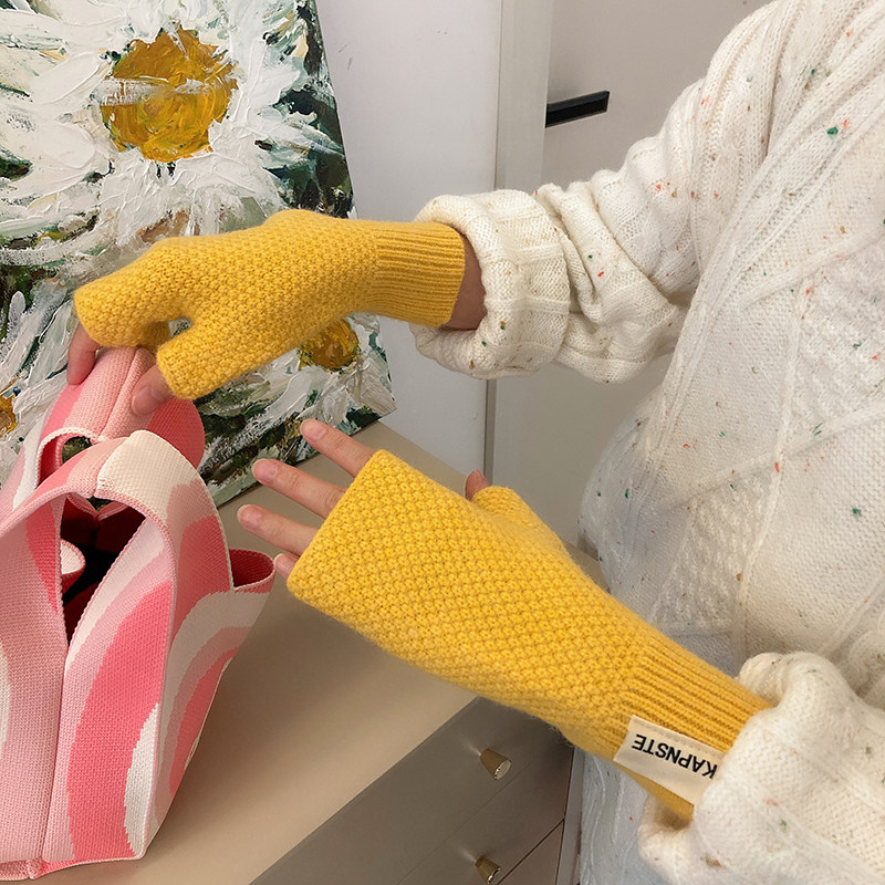 纯色防寒骑车学生ins高级百搭触屏可触新款手套