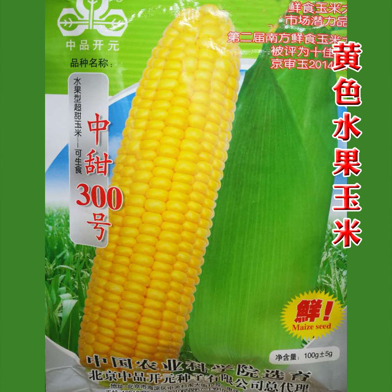 昊棒311玉米种简介图片