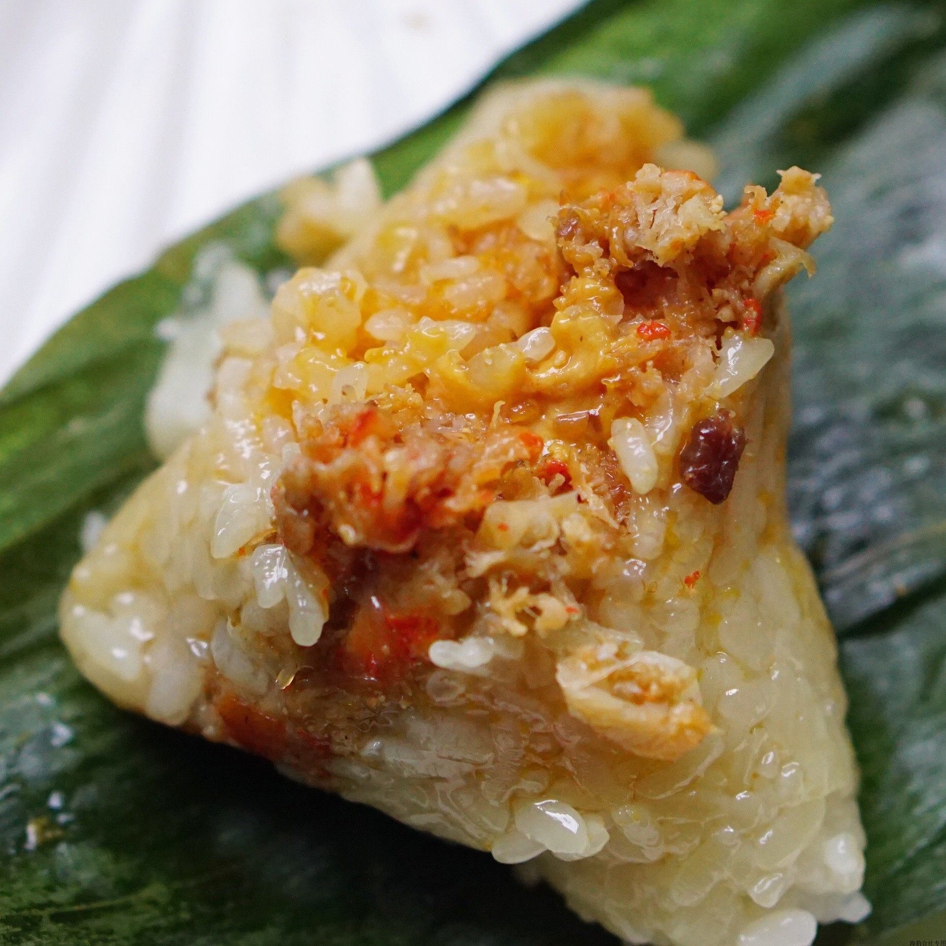 海豹手作创意粽子子鱼干贝蟹肉奶香芝士黑松粽子