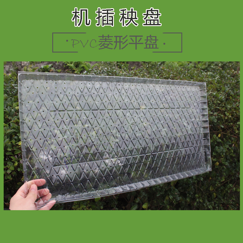 水稻育秧育苗盘机全系软盘平盘秧盘早稻育苗盘