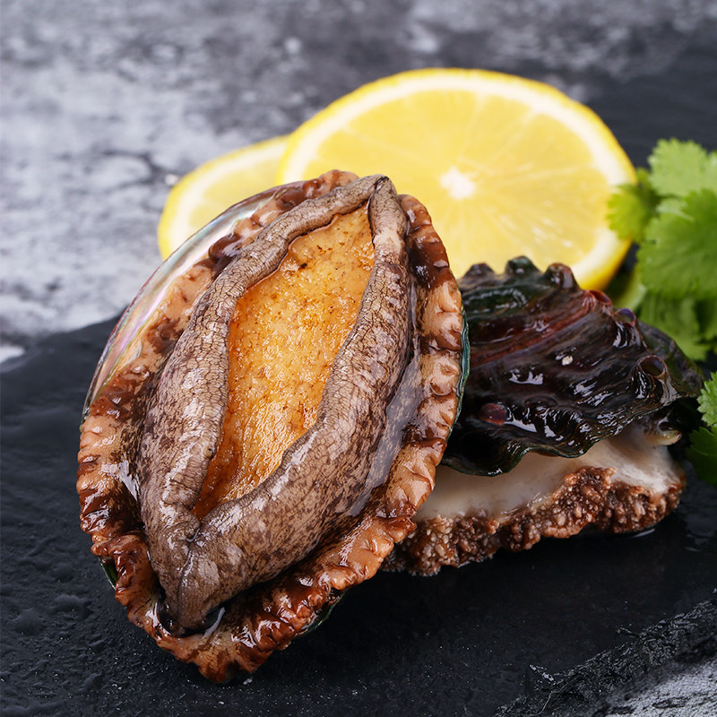 海洋岛 鲜活大连特产大鲍鱼海鲜水产活鲜生鲜烧烤1斤6头500g包邮