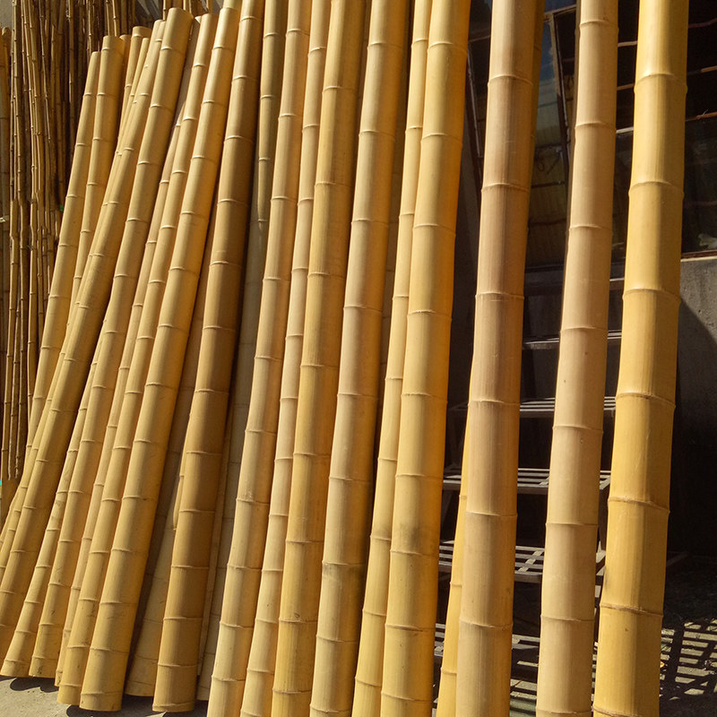 饰竹竿竹子隔断挡墙庭院墙面屏风防腐白竹粗细竹杆 大毛竹楠竹装