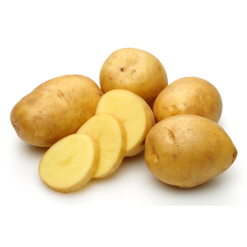土豆任搭5件包邮黄心500g新鲜新土豆马铃薯洋芋土豆