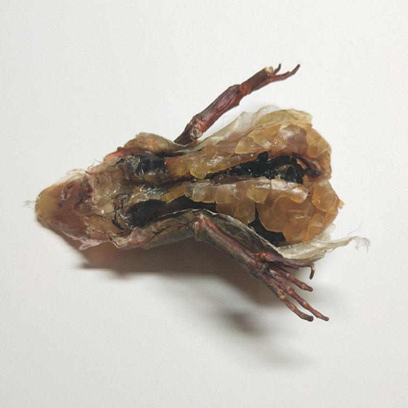 山野居长白山足干雪蛤蛤蟆干林蛙干整只雪蛤油滋补12克5只包邮