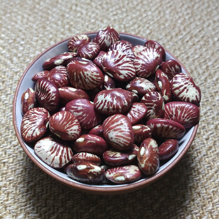 斑马豆500g肾豆花豆神豆农家荷包豆云南豆子 豆类杂粮 花芸豆包邮