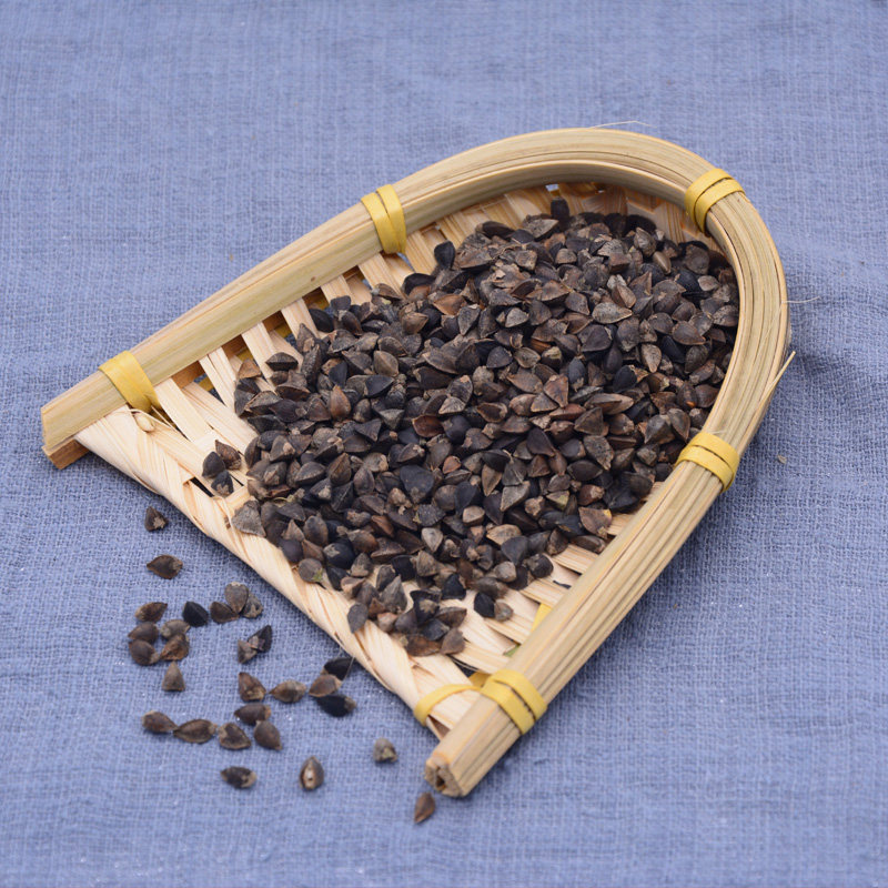 带壳荞麦原荞麦甜乌麦三角仓鼠鹦鹉鸽子鸟食鸟食