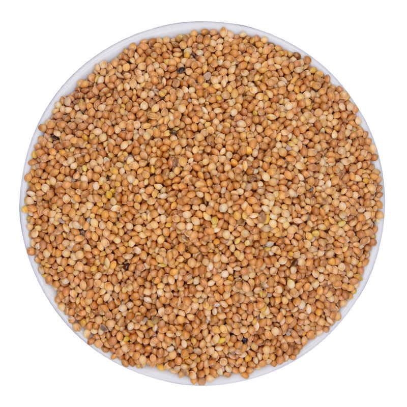 饲料糜子黍子带壳大黄旋风牡丹中小型鹦鹉鸽子鸟食