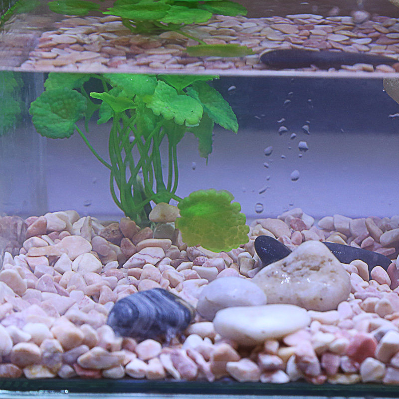 鱼缸底砂水族箱造景天然河沙玻璃砂白玉石黄金沙造景