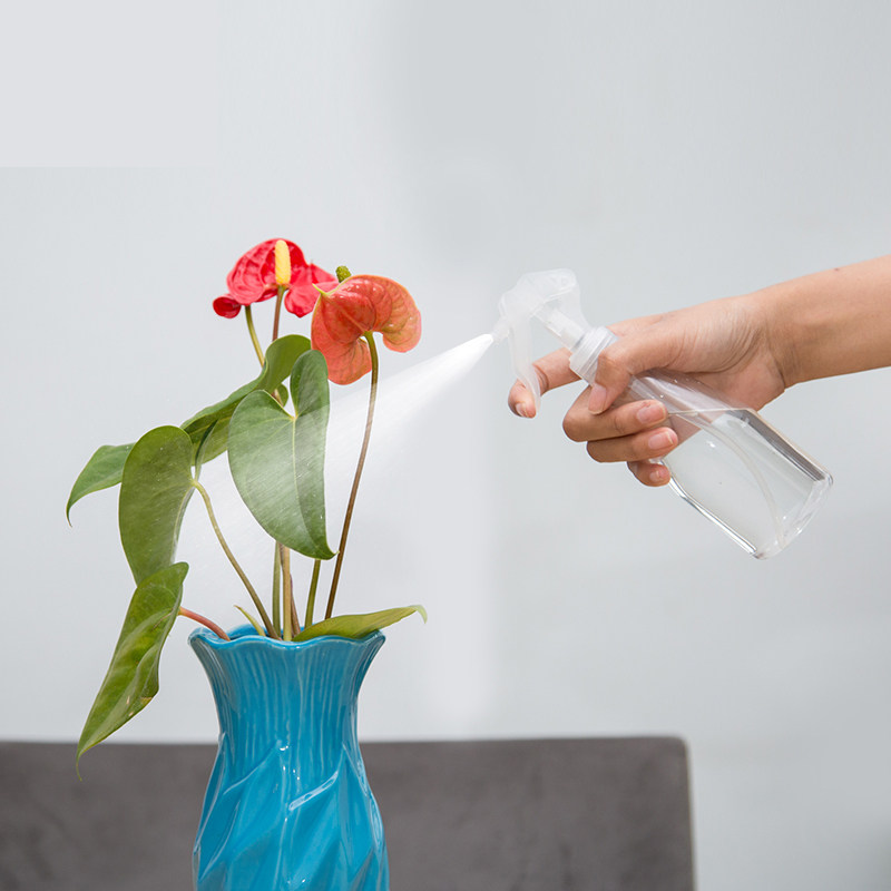 喷花器喷水浇花的喷瓶家用喷壶园艺喷洒浇水盆栽小型植物园艺喷雾