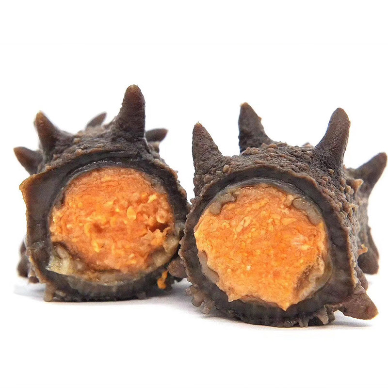 海参即食带籽礼盒盒装参母刺参野生8年孕妇海参